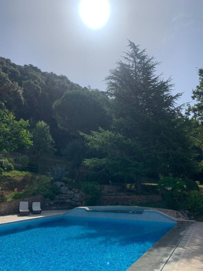 La Terrazza Sulla Versilia Pietrasanta Exterior foto